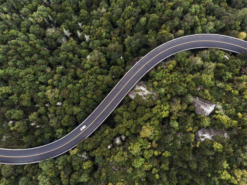 Road_Above_growth